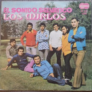 Image for 'El Sonido Selvático'