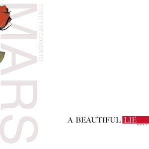 Image for 'BEAUTIFUL LIE, A'