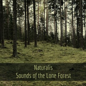 Image for 'Sounds of the Lone Forest'