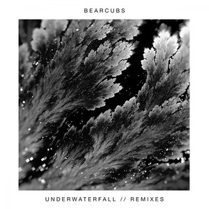 Image pour 'Underwaterfall (Remixes)'