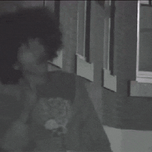 Image for 'evvls'