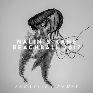 Image pour 'Beachball 2017 (Sebastien Remix)'
