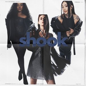 “Shook”的封面