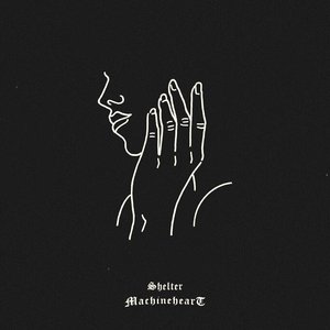 Image for 'Shelter'
