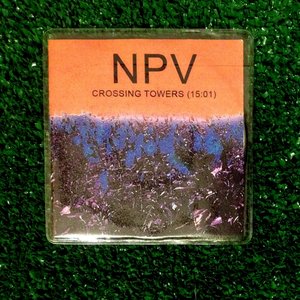 Image for 'NPV'