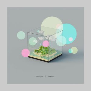“Seagull (Stereo version)”的封面