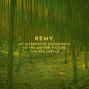 Image for 'An alternative soundtrack to the motion picture The Red Turtle'