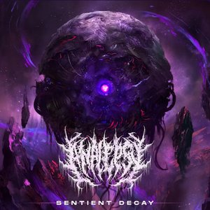 Image for 'Sentient Decay'