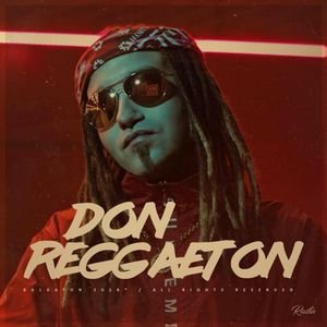 Image for 'Don Reggaeton'