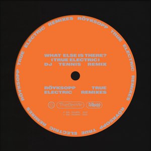 Image for 'What Else Is There? (DJ Tennis Remix)'