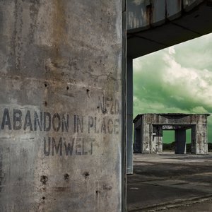 “Abandon In Place”的封面