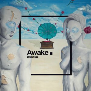 “Awake”的封面