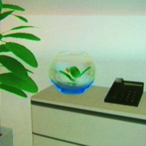 Image for 'Wiiきおくにとどめる'