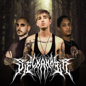 Image for 'SIELKANKER'