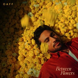 Image for 'Between Flowers'
