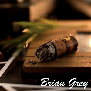 “Brian Grey”的封面
