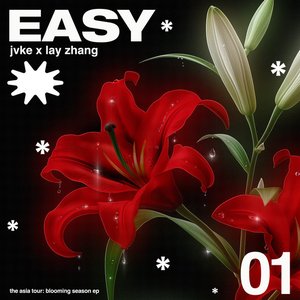 Imagen de 'EASY'