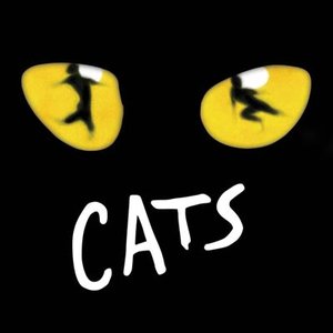 Image for 'Cats (México)'