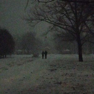 Image for 'let me rot in your arms'