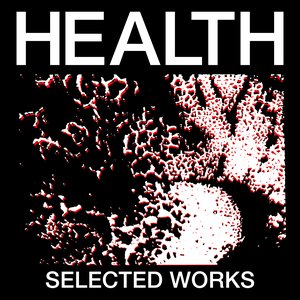 “SELECTED WORKS”的封面