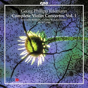 Image for 'Telemann: Complete Violin Concertos, Vol. 1'