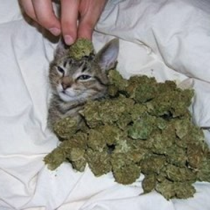 MeLearyandLou