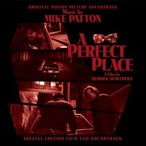“A Perfect Place”的封面