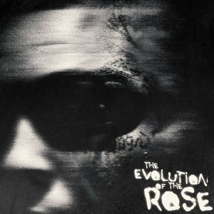 Image for 'The Evolution of the Rose'
