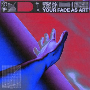 Bild für 'Your Face as Art'
