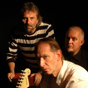 Image for 'The Hamsters'