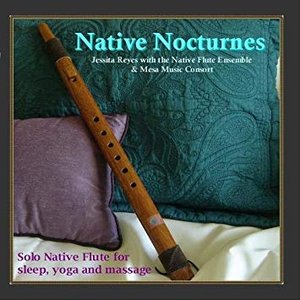 Image for 'NATIVE NOCTURNES - Native Flute Music for Sleep, Yoga & Massage'