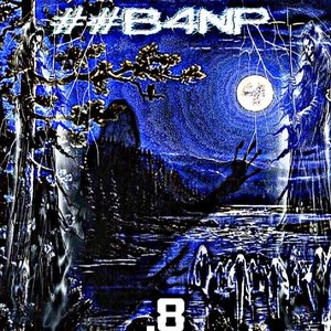 Image for '##B4NP'
