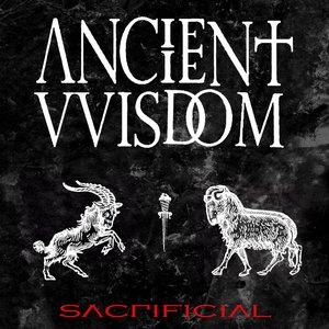 “Sacrificial”的封面