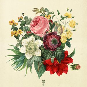 Image for 'FLORA'