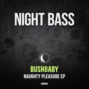 Image for 'Naughty Pleasure'
