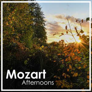 Image for 'Mozart Afternoons'