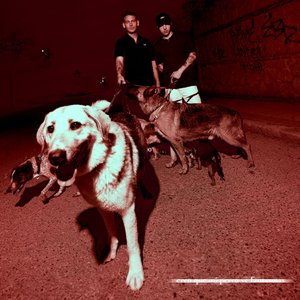 Image for 'creo que mi perro ve fantasmas'