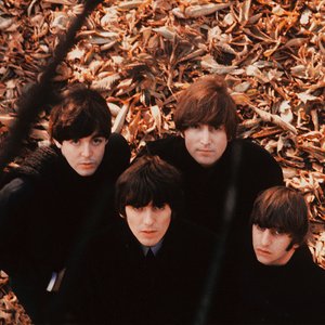 Image for 'The Beatles'