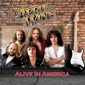 Image for 'Alive In America'