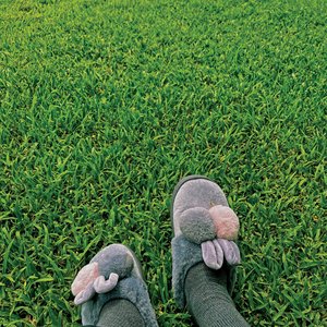 Image pour 'touch grass'