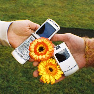 Image for 'BAE'
