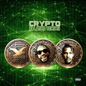“Crypto Business”的封面