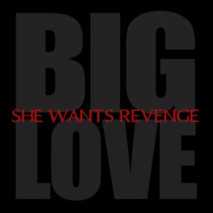 Imagen de 'Big Love - Single'