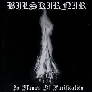 “In Flames of Purification”的封面