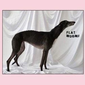 “Flat Worms”的封面