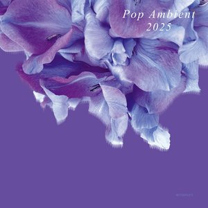 “Pop Ambient 2025”的封面
