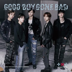Image for 'Good Boy Gone Bad'