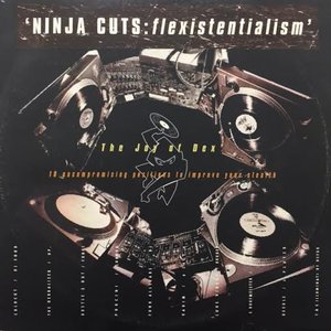 Изображение для 'Ninja Cuts - Flexistentialism'