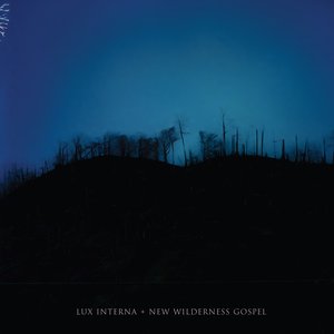 “New Wilderness Gospel (Deluxe Edition)”的封面