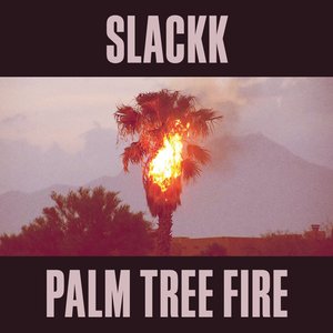 Image for 'Palm Tree Fire'